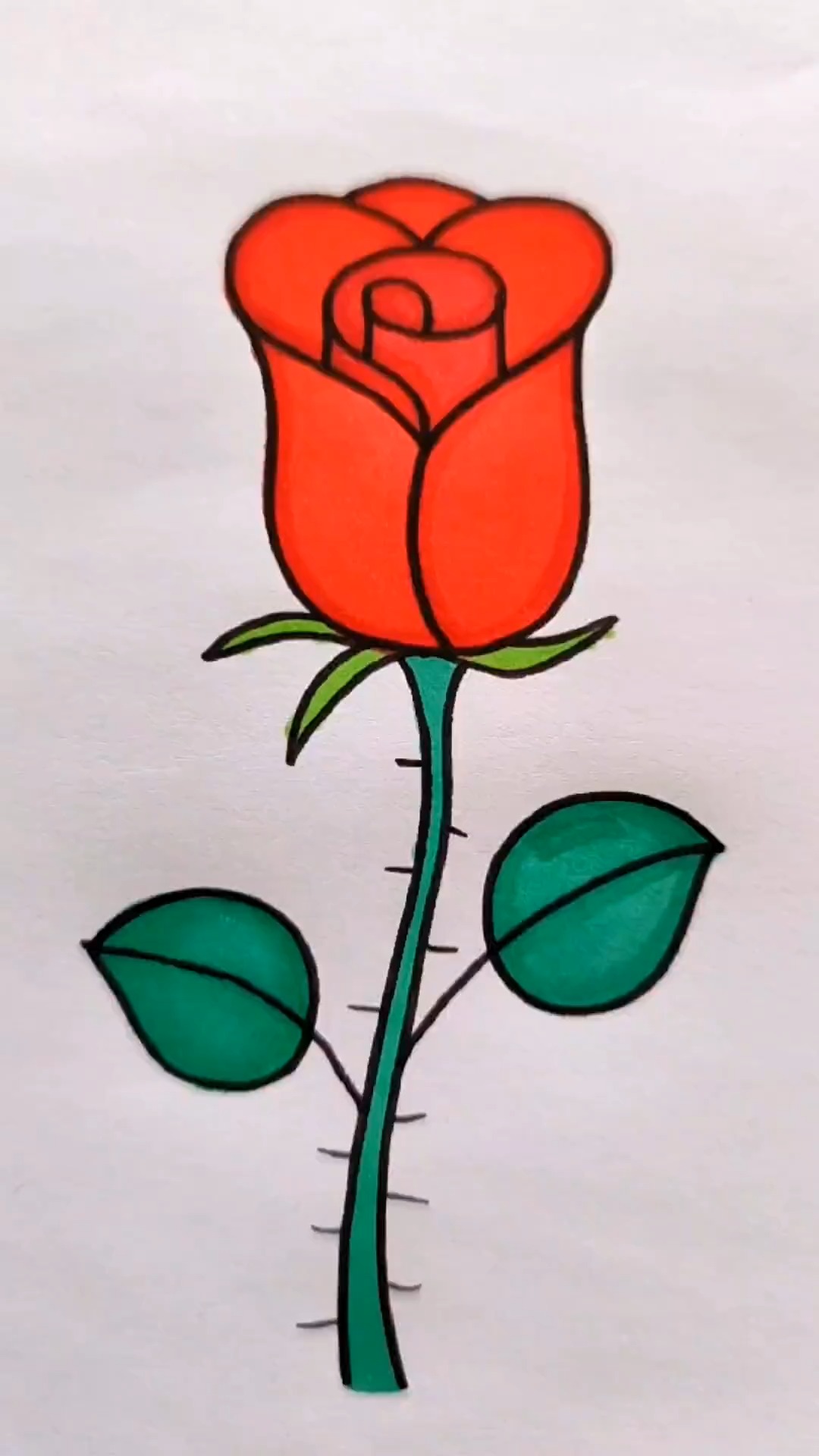 这样画玫瑰花，一学就会！