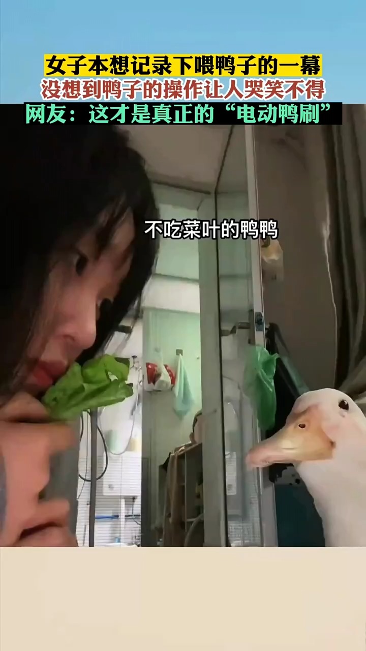 女子本想记录下喂鸭子的一幕，没想到鸭子的操作让人哭笑不得，网友：这才是真正的“电动鸭刷”