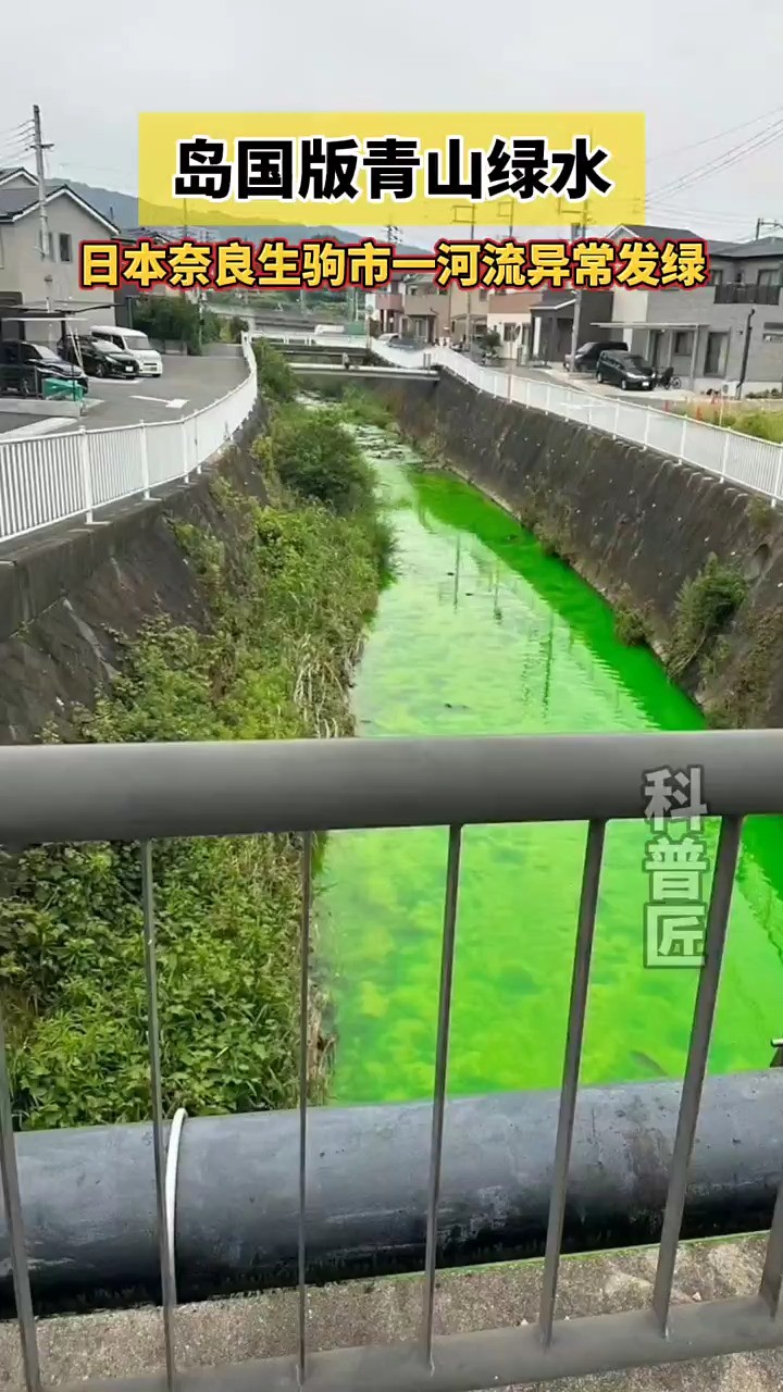 建议把福岛核废水拉个一百万吨来稀释这个河道吧！你们不是说福岛的核废水可以喝吗？