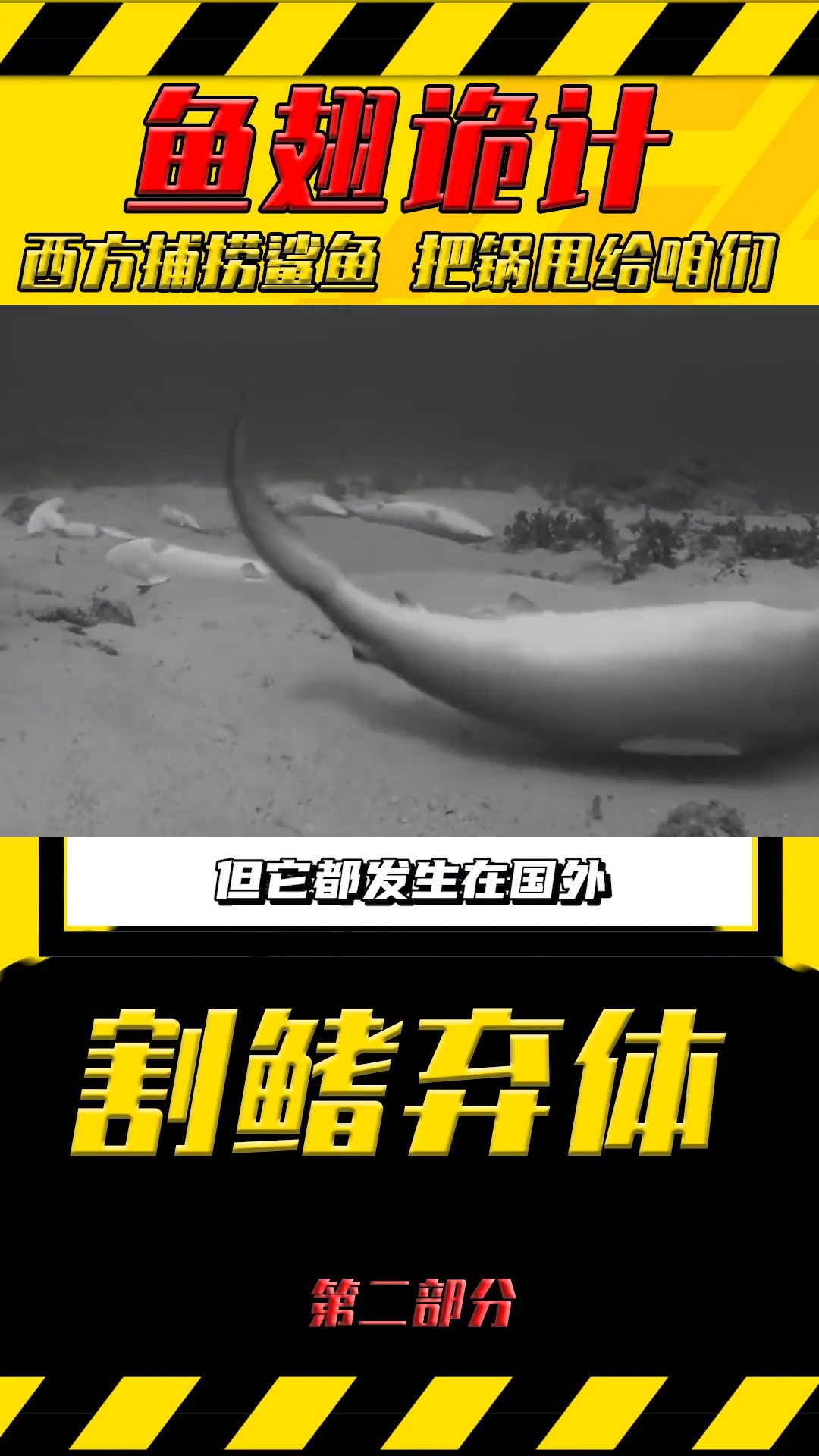 为了蚕食鲨鱼资源，竟把锅甩给咱中国？鱼翅鲨鱼 (2)