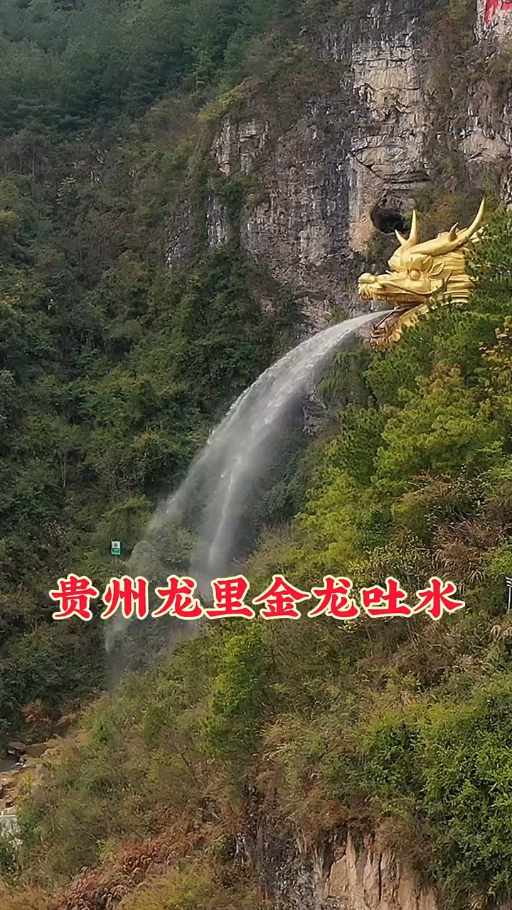 贵州深山一金色龙头，悬挂半山腰上，常年不断向外吐水，太壮观了，这才是真正的水龙头，见者好运！ 
