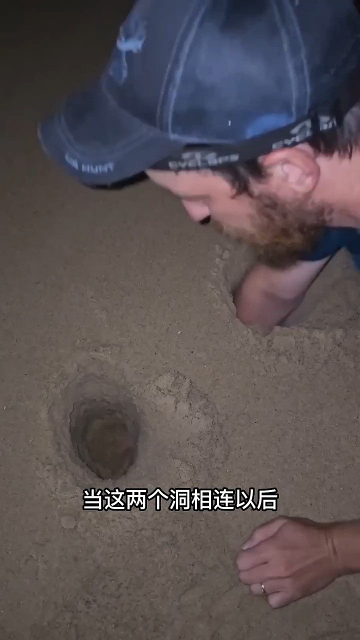 这名男子在沙滩上挖了一个洞