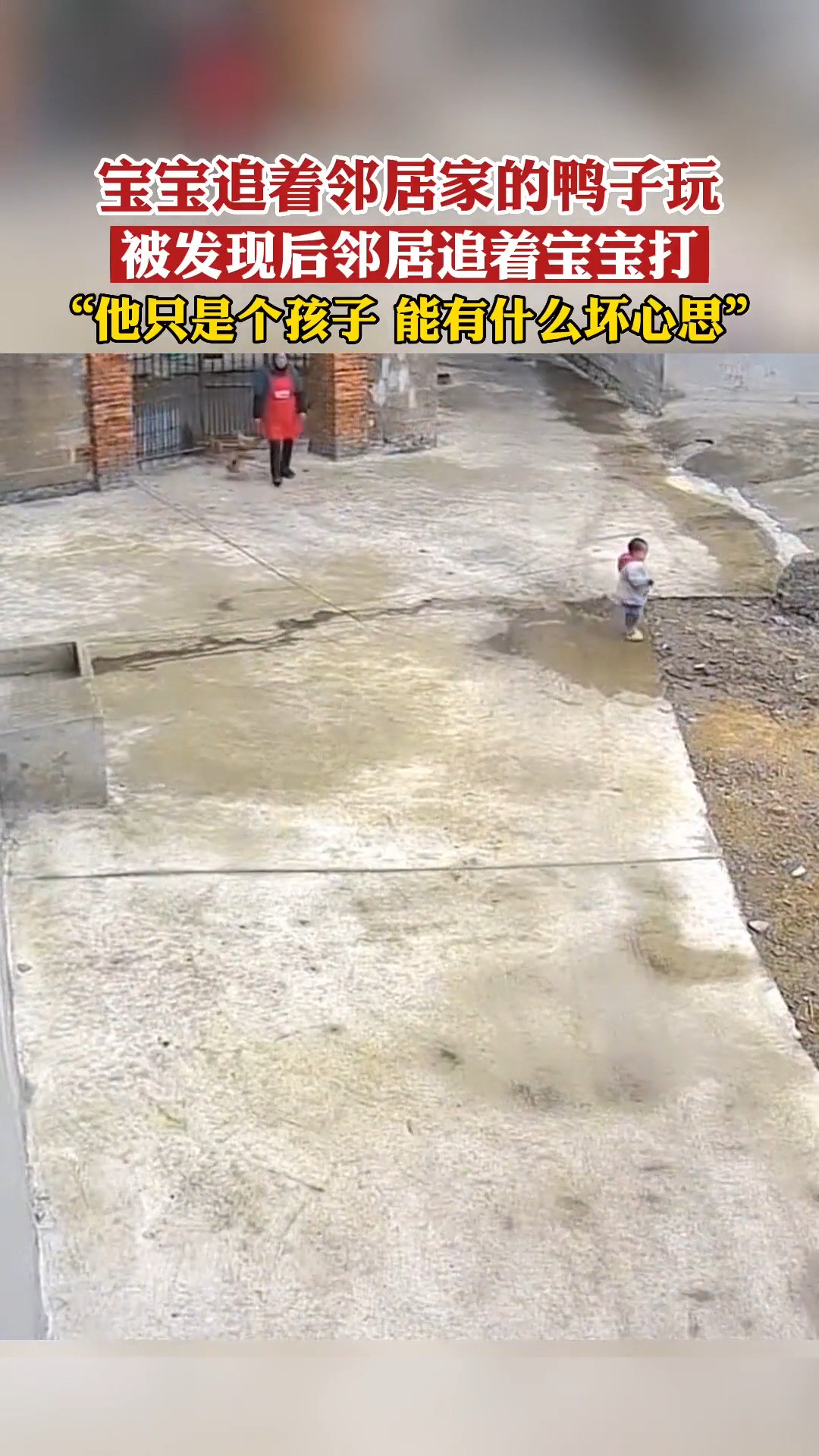 宝宝追着邻居家的鸭子玩，被发现后邻居追着宝宝打