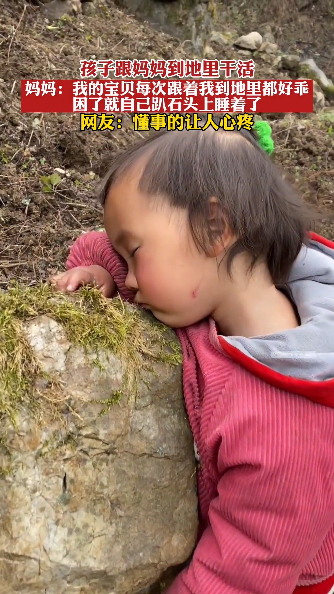 孩子跟妈妈去地里干活，困了趴在石头上睡着了