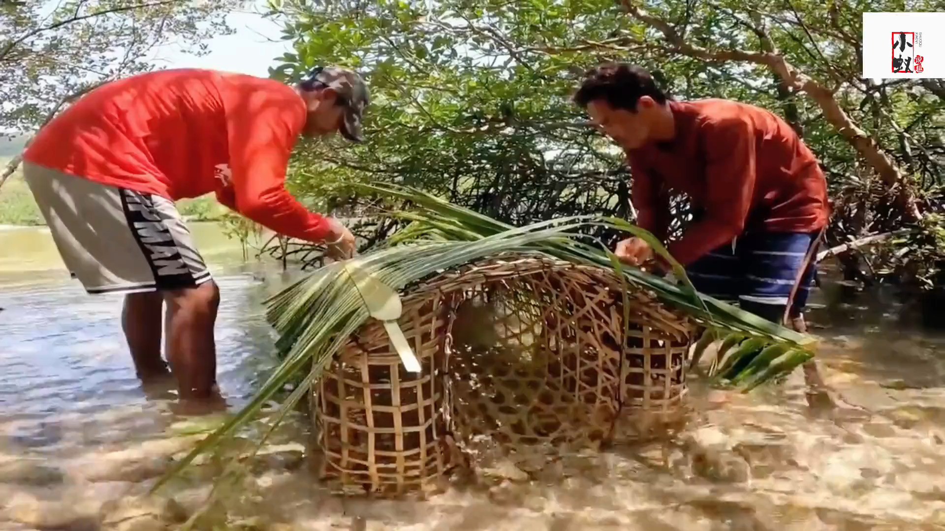 菲律宾渔民把陷阱，布置在海底，一天后便能收获大量石斑鱼#户外捕鱼 #捕鱼达人 #抓鱼 #户外 #赶海