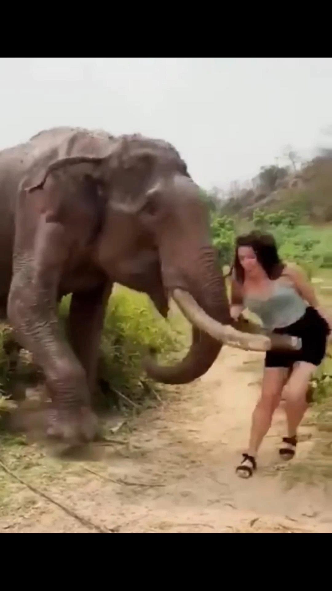 女子被大象攻击！