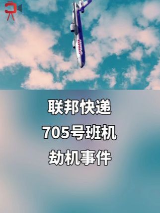 这架被同行劫持的飞机，看机组如何应对？ #空中浩劫 #班机 #纪录片
