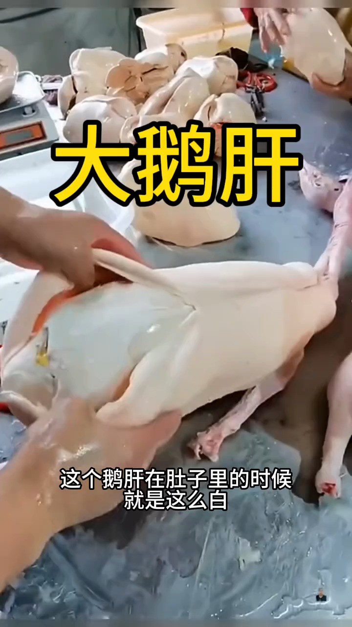 这个鹅肝怎么这么大啊。