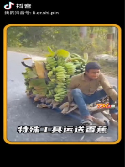 特殊工具运送香蕉