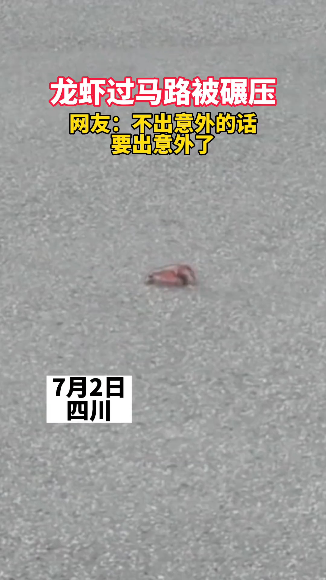 龙虾过马路被碾压 ，网友：不出意外的话要出意外了