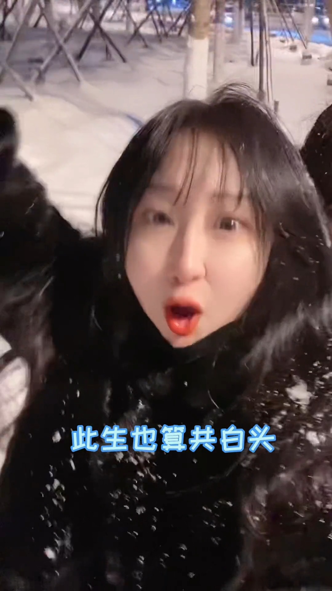 他朝若是同淋雪,此生也算共白头这话啥意思