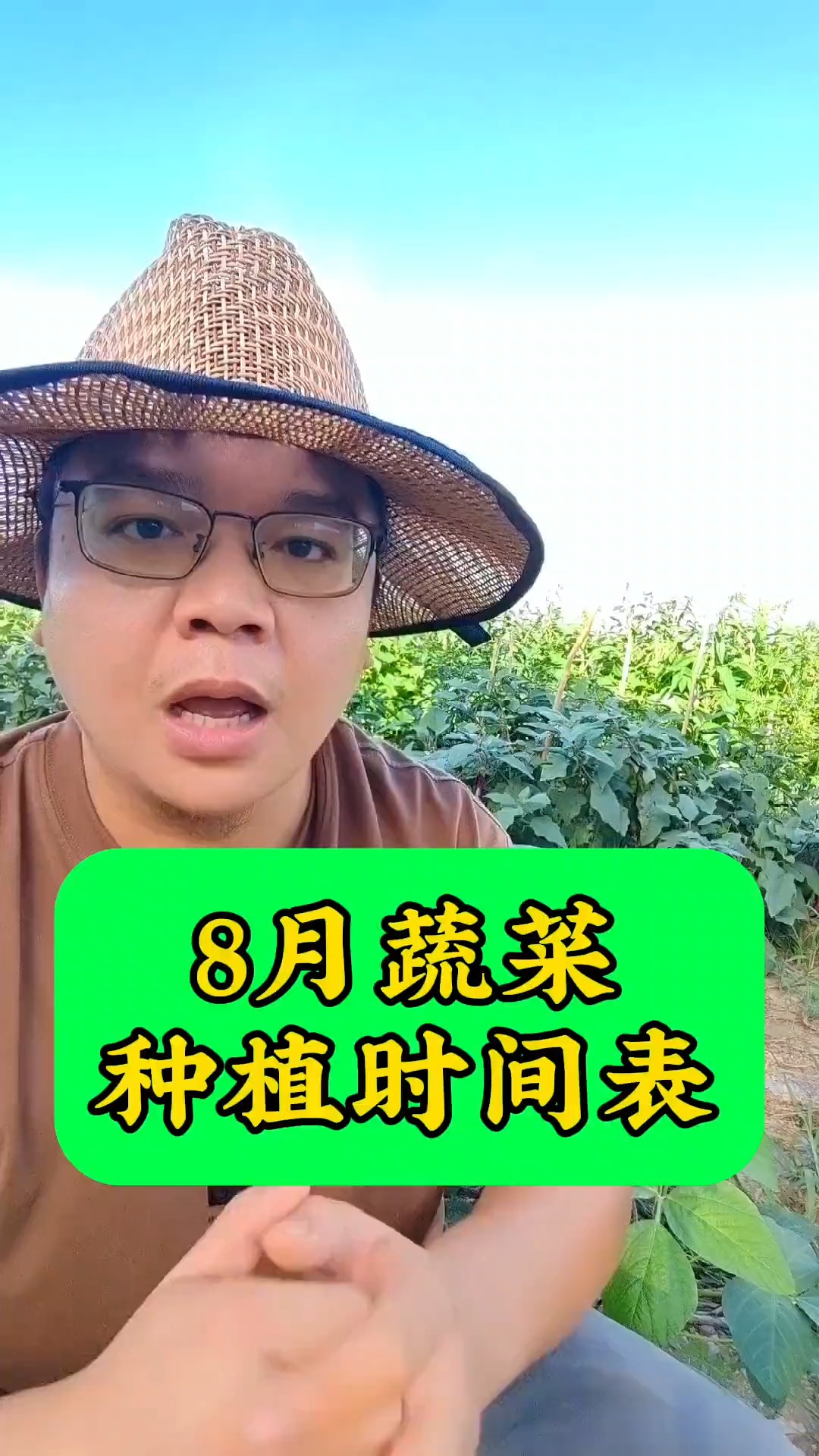 8月份可以种植的蔬菜有哪些您知道吗?