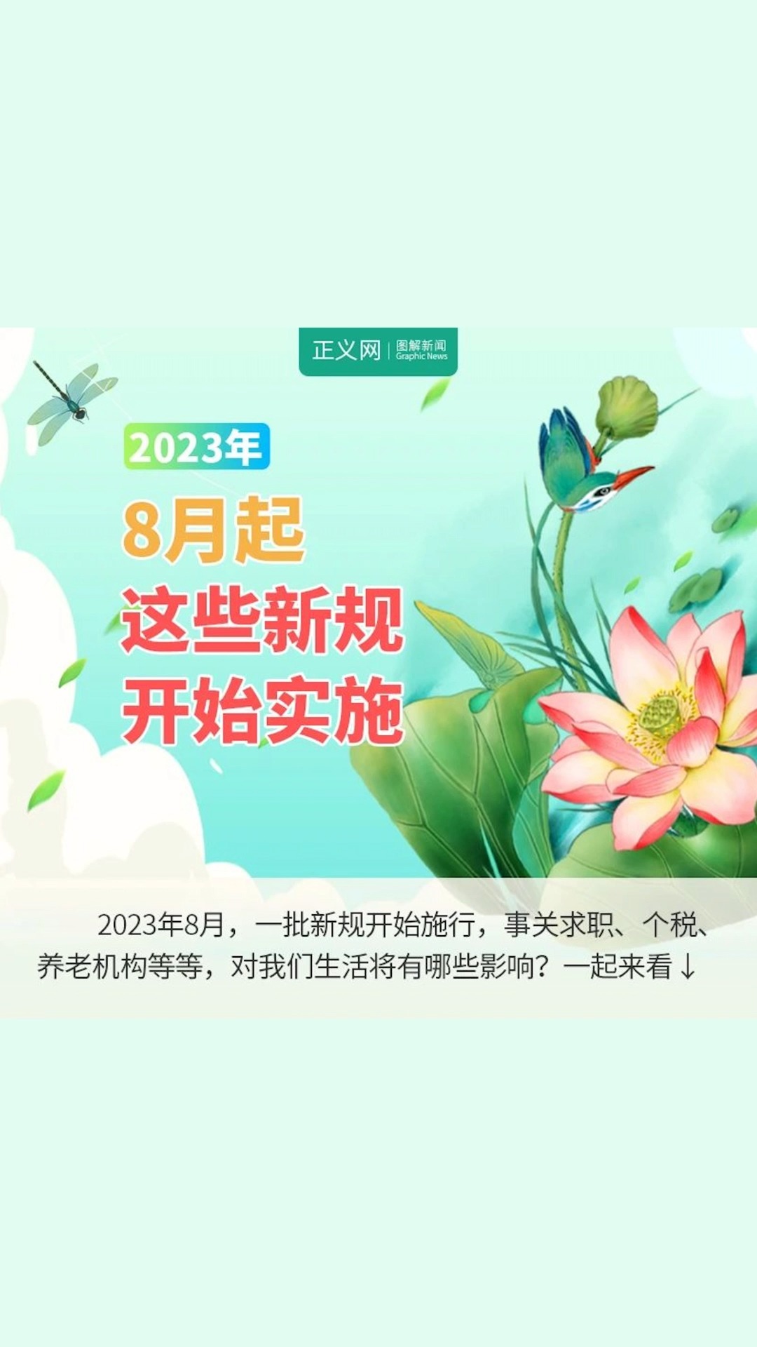 2023年8月起,这些新规开始实施