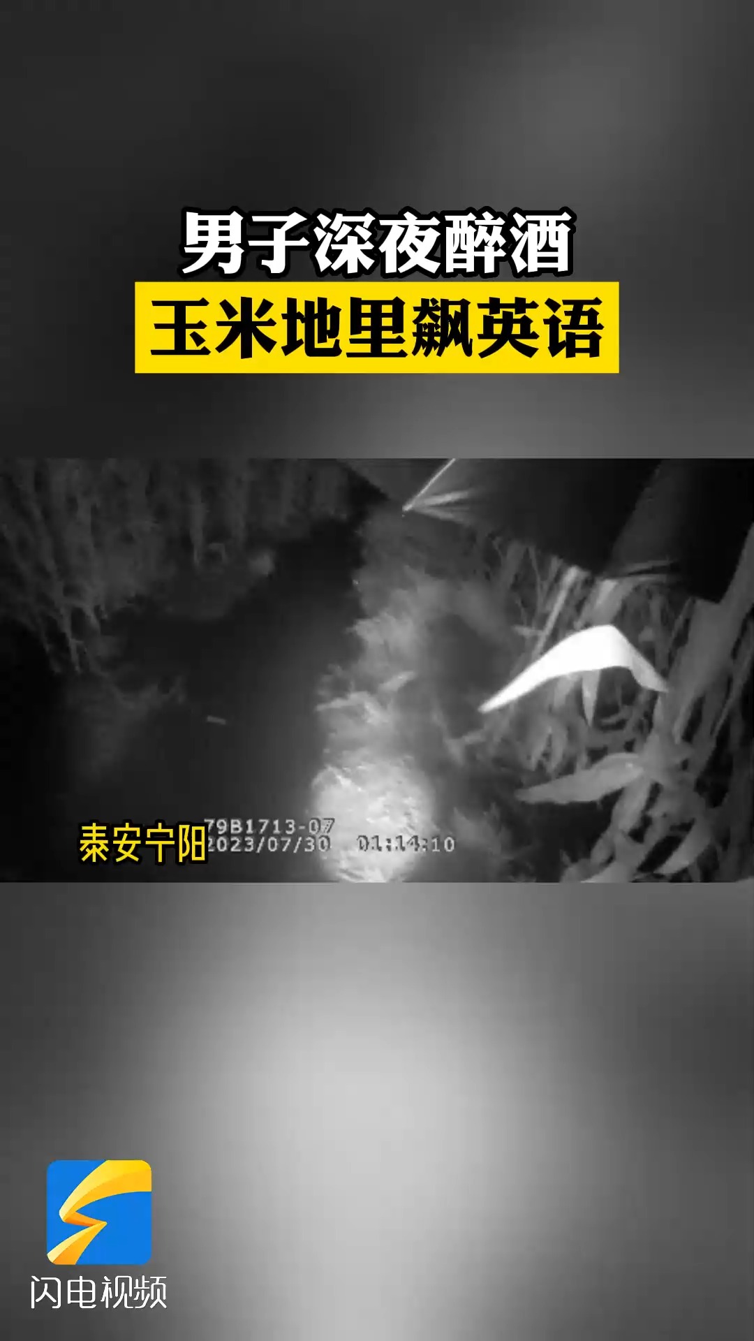 泰安宁阳:男子深夜醉酒 玉米地里飙英语