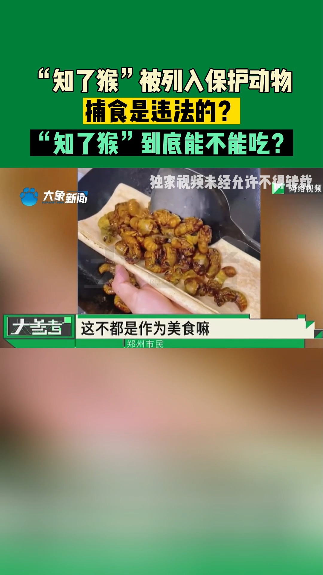 “知了猴”被列入保护动物,捕食是违法的?“知了猴”到底能不能吃?