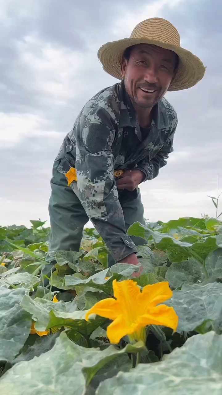 每一株庄稼都是无数汗水浇灌的结果,承载着丰收的渴望!