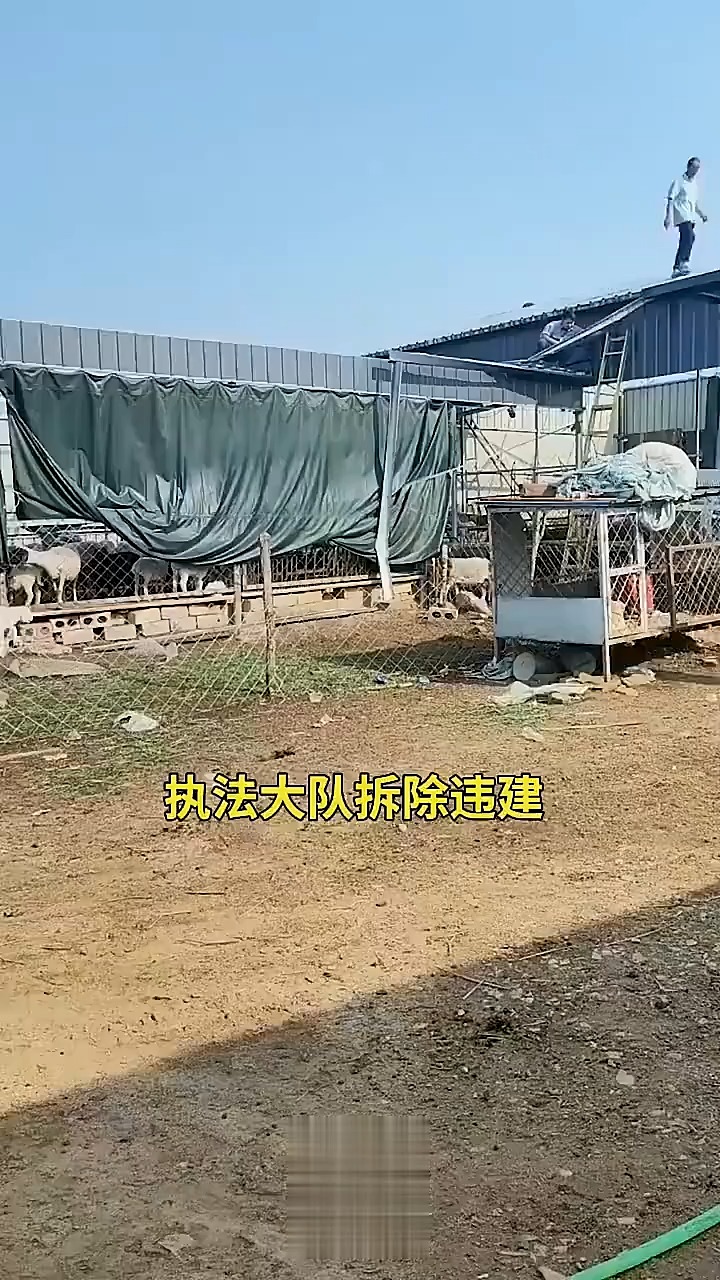 执法大队拆除违建