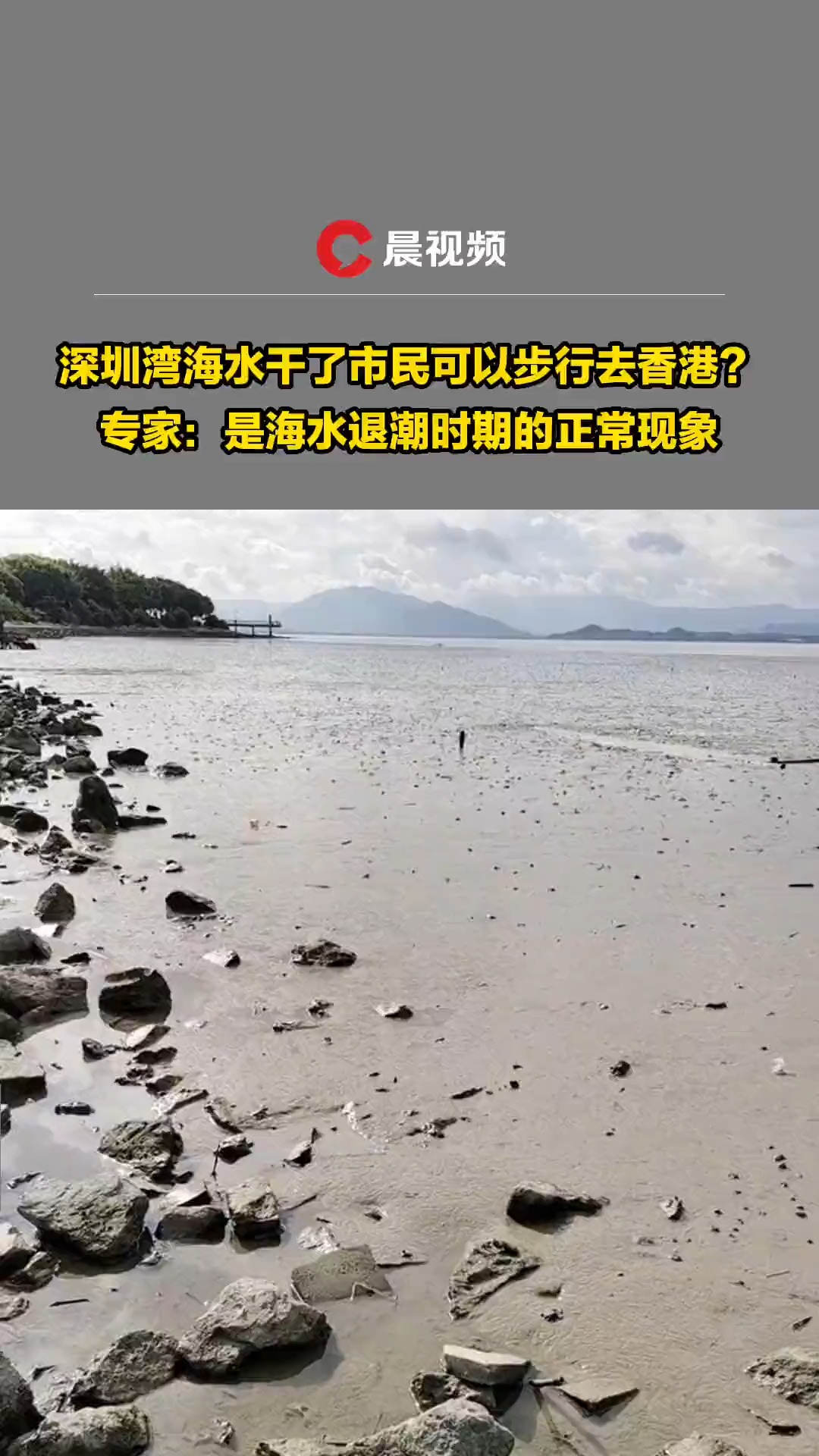 深圳湾海水干涸市民可以步行去香港?专家:是海水退潮时期的正常现象