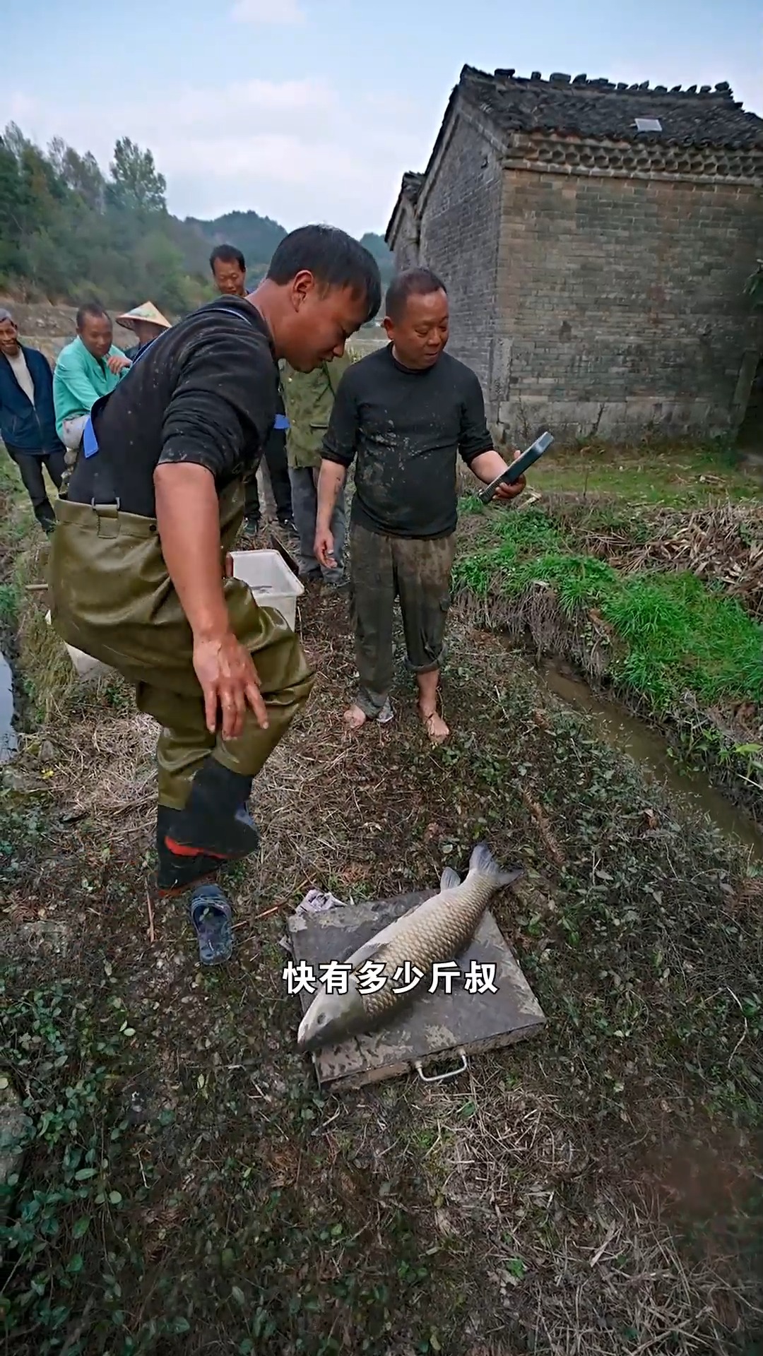 今天在武夷山脚下的古村,落包下一口老鱼塘,塘主最后竟然要送鱼?第八集