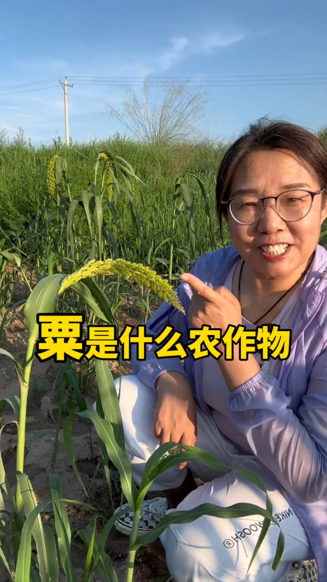 粟在我国种植有几千年的历史,是一种非常古老的农作物. #神评即是标题 #百万视友赐神评 