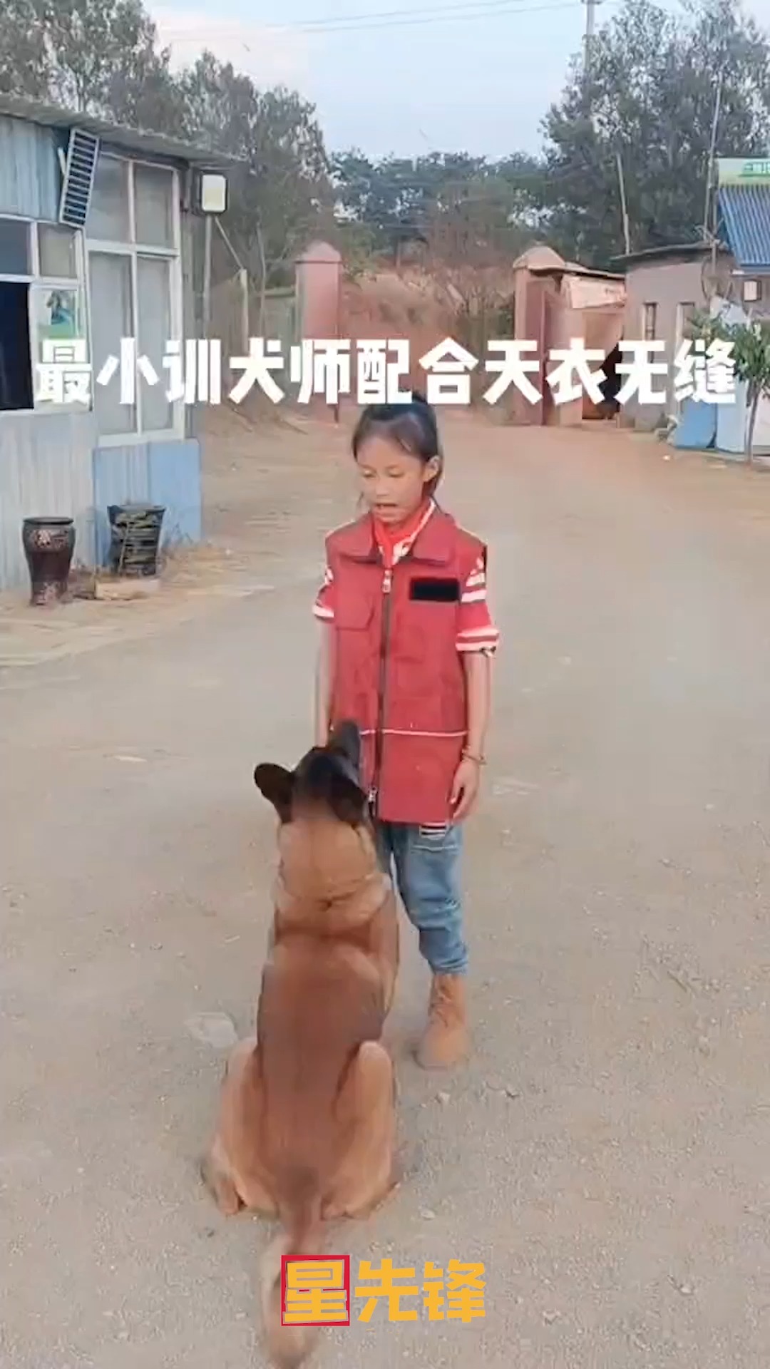 狗狗是人类最忠诚的朋友我们要保护它