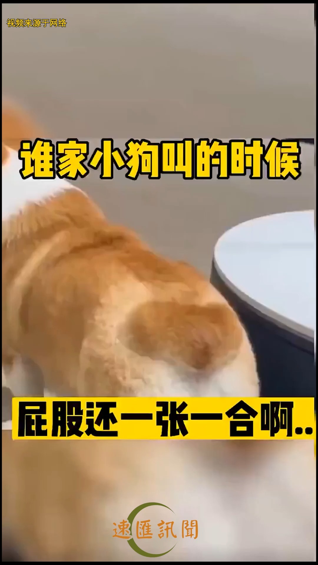 定语后置