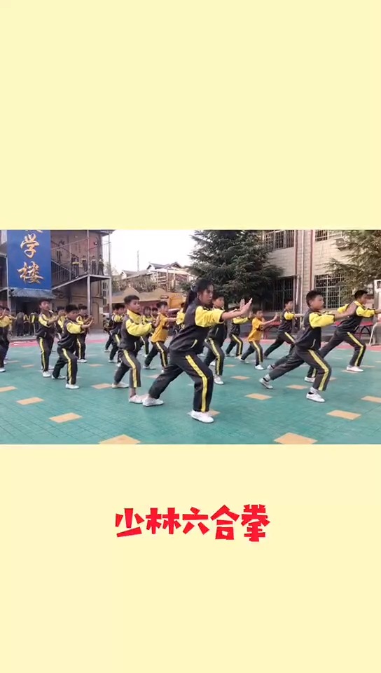 嵩山少林武学校