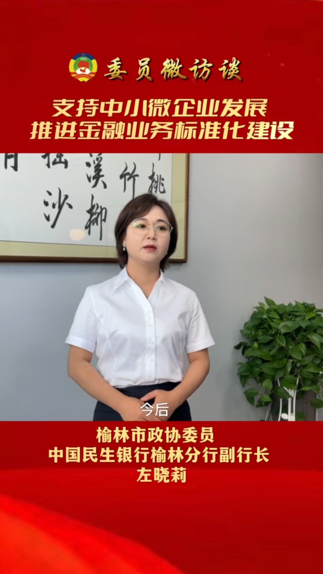  榆林市政协委员左晓莉:支持中小微企业发展,推进金融业务标准化建设.