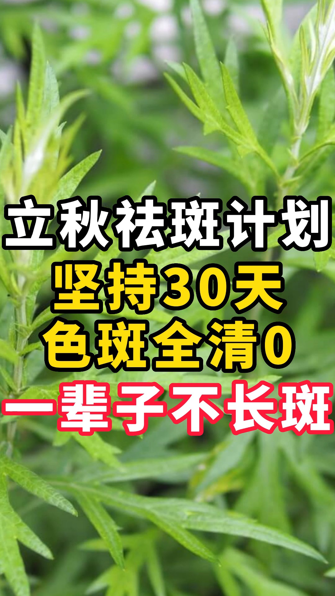 立秋祛斑计划,坚持30天,色斑全清0,一辈子不长斑