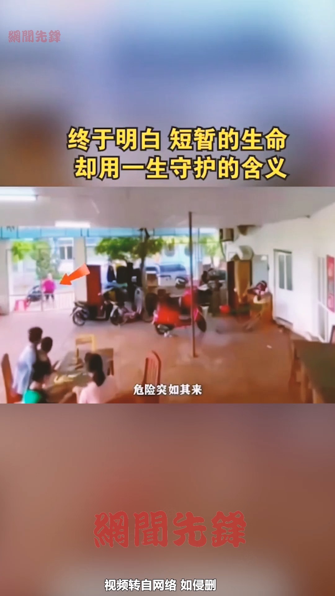 终于明白,短暂的生命,却用一生守护的含义. 