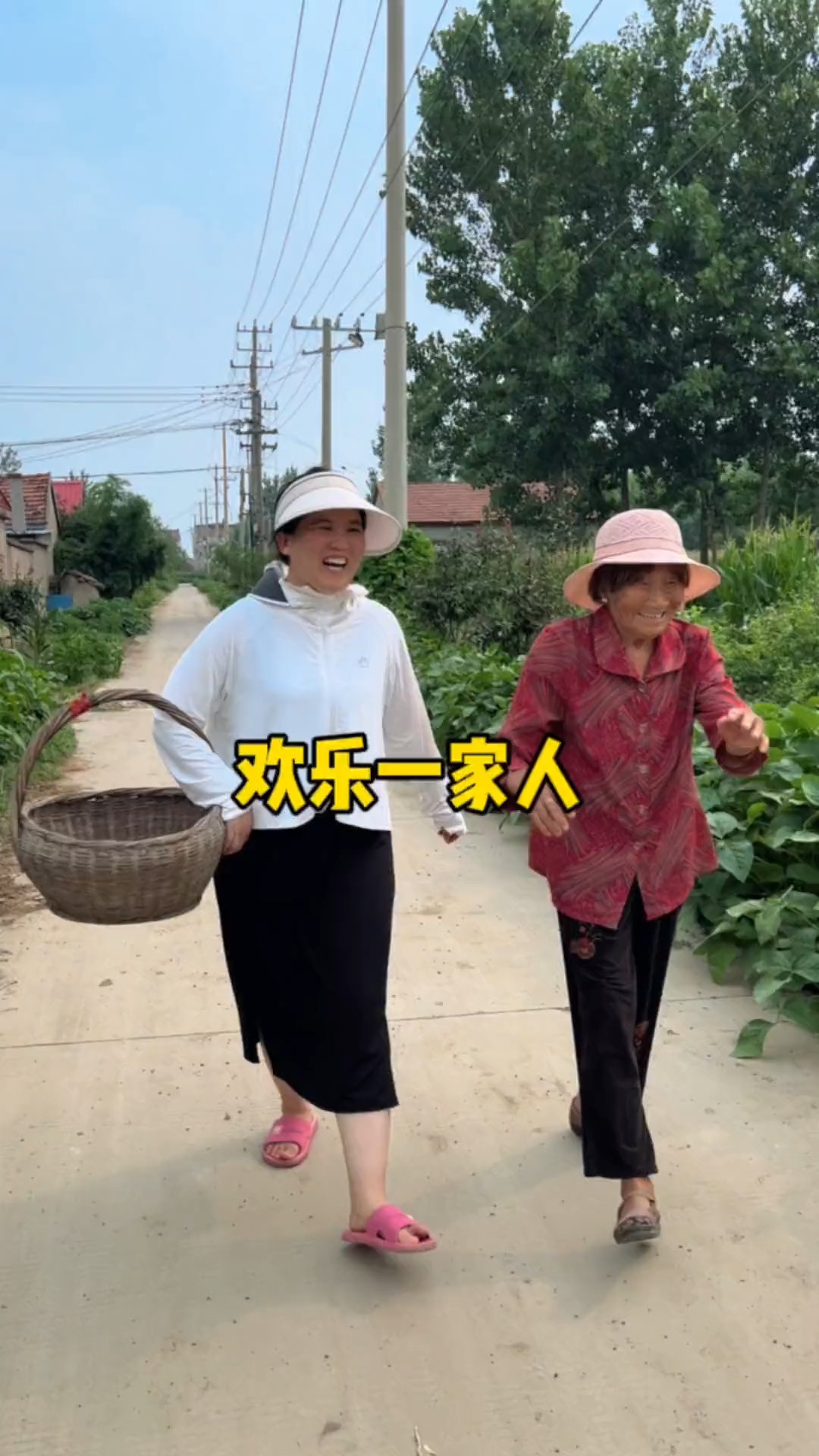 老顽童奶奶又要做饭了,一顿操作猛如虎,我心里也没谱,看到最后俺也是“豆腐乳煮菜” #神评即是标题 #百万视友赐神评 