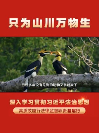 只为山川万物生——来自云南生物多样性保护一线的调查报道