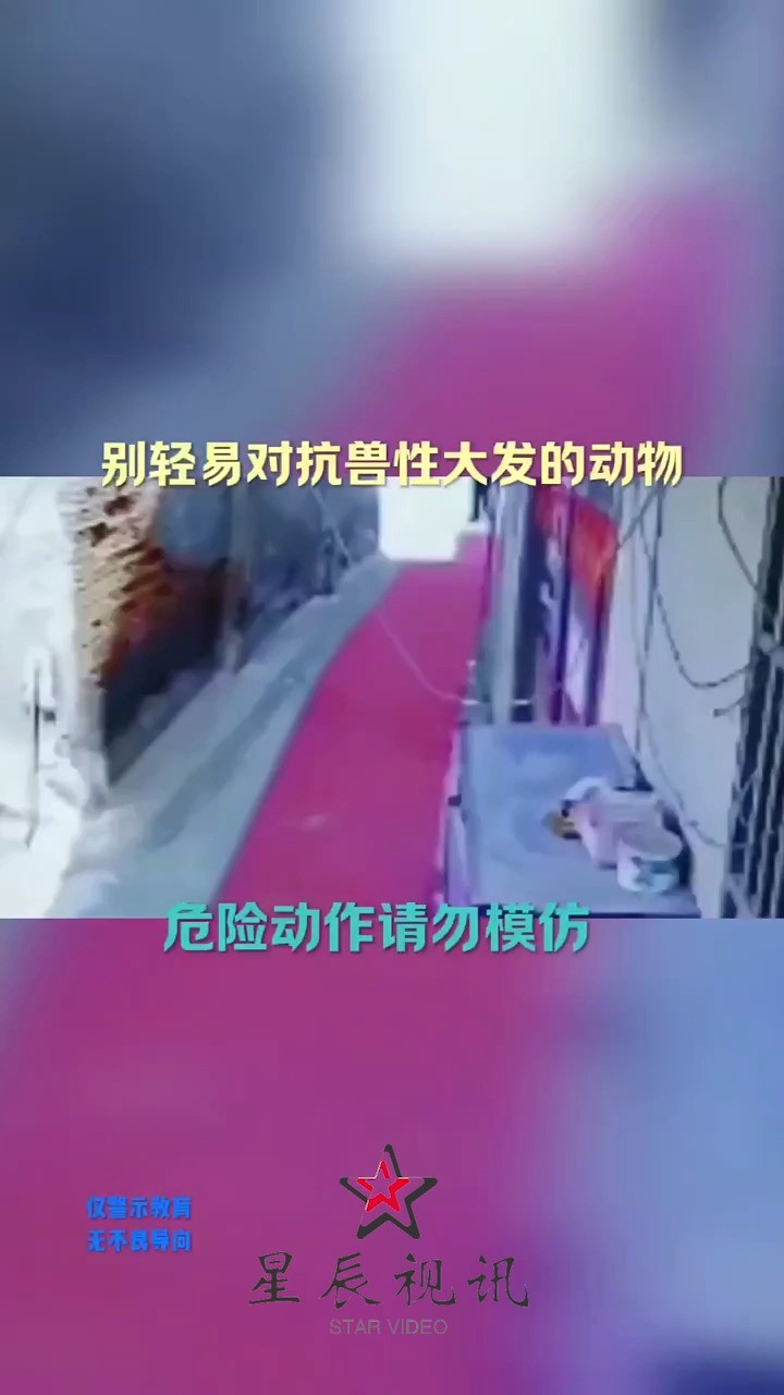 别轻易对抗兽性大发的动物