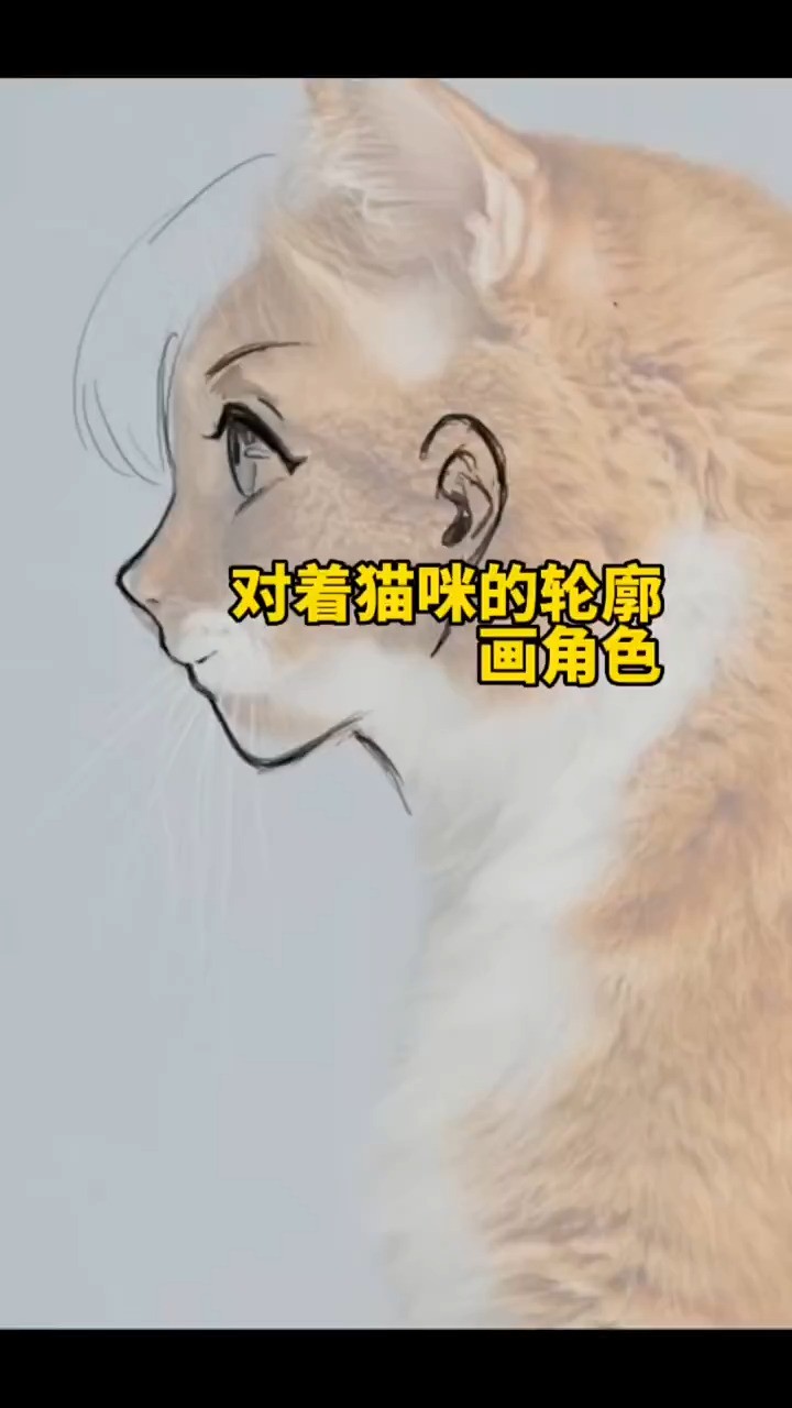 听说日本漫画脸是参考猫咪的脸而不是欧美人的轮廓 