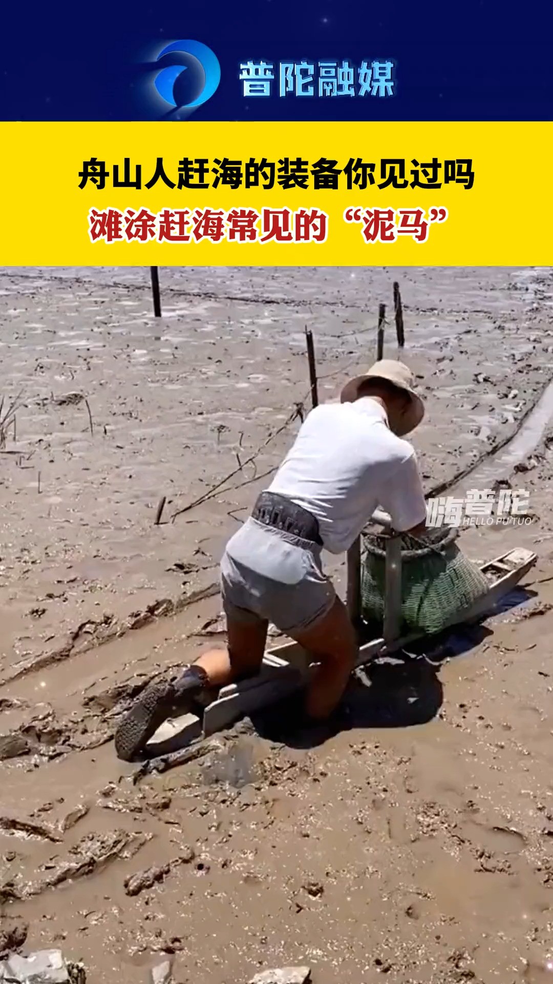 小时候的滩涂赶海必备“泥马”#赶海人