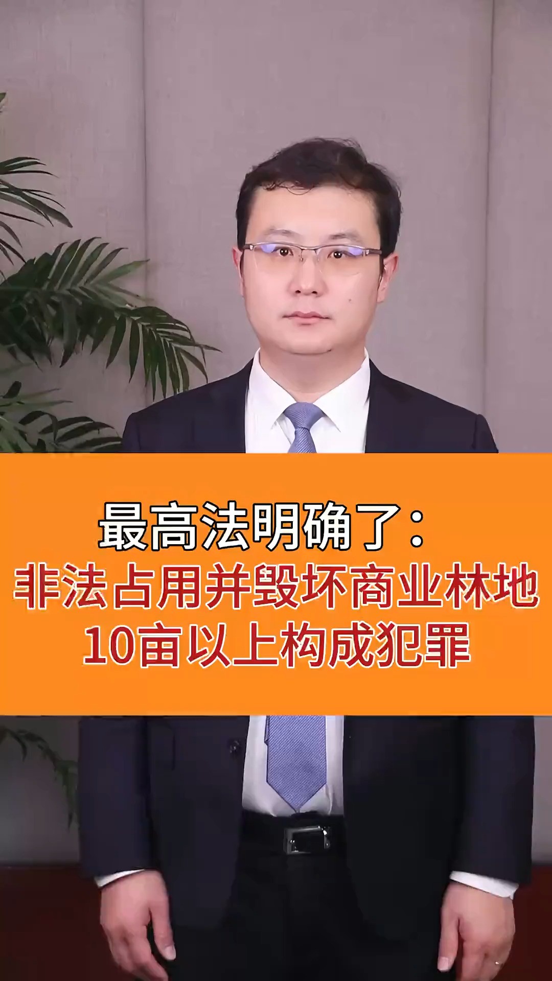 最高法明确了 非法占用并毁坏商业林地,10亩以上构成犯罪!