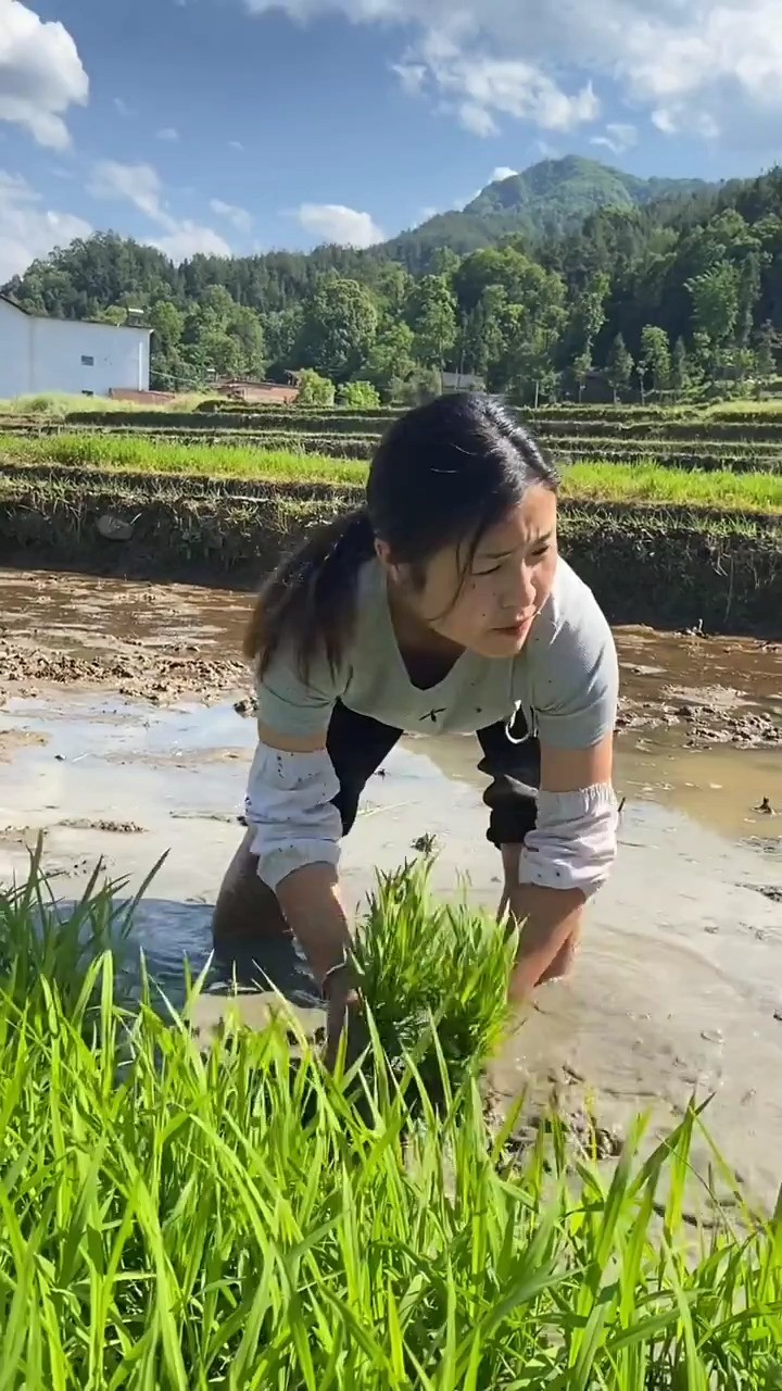  农民过的是靠天靠地的日子,一生的热情和汗水都洒在了这片故土上.