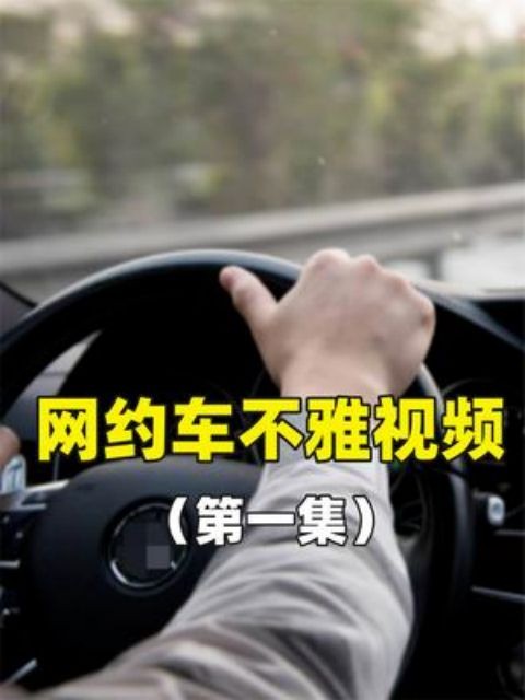 网约车不雅视频 