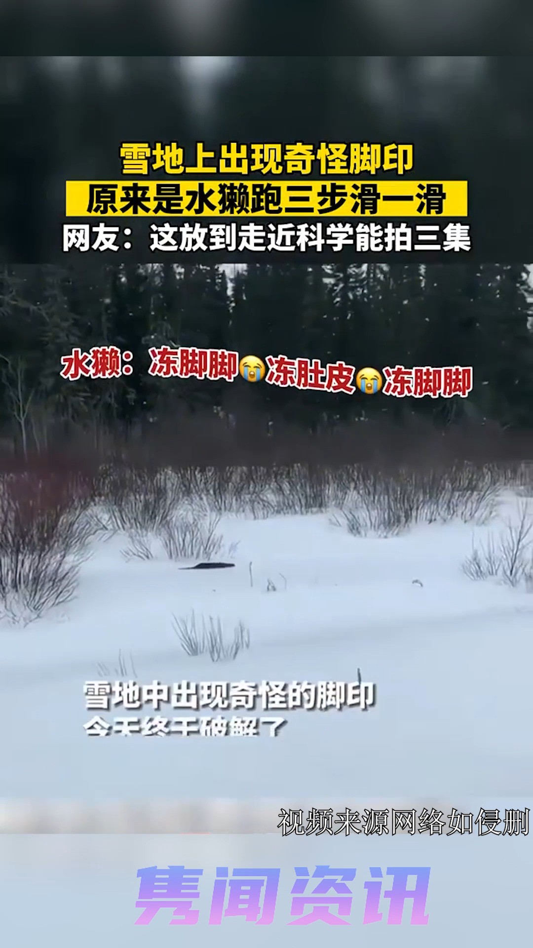 雪地上出现奇怪脚印,网友:这放到走进科学能拍三集 