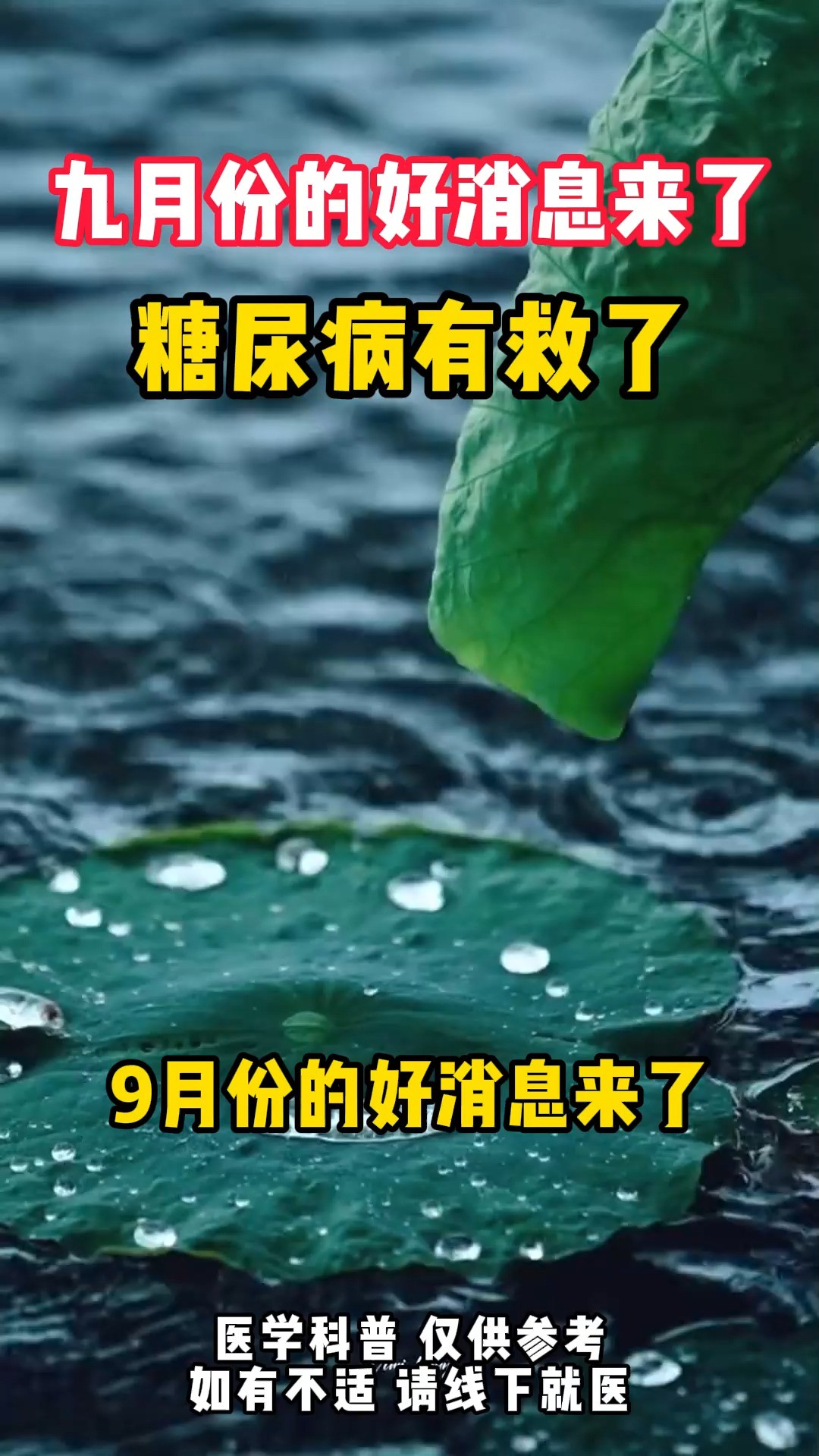 九月份的好消息来了