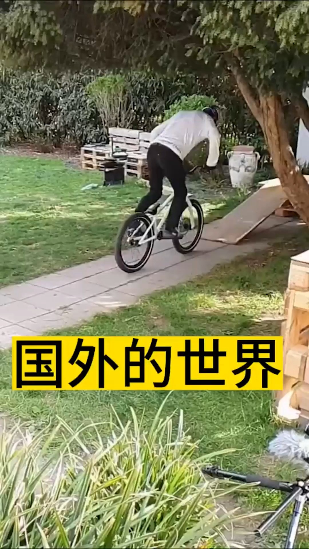 成功绝非偶然.