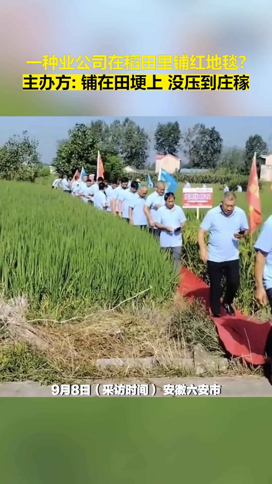 网友:鞋子不好,怕踩到泥土损坏了?