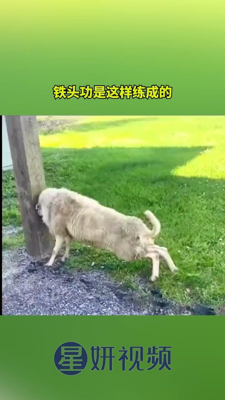 铁头功是这样练成的