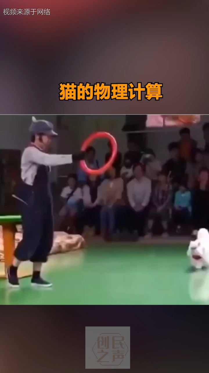 猫的物理计算