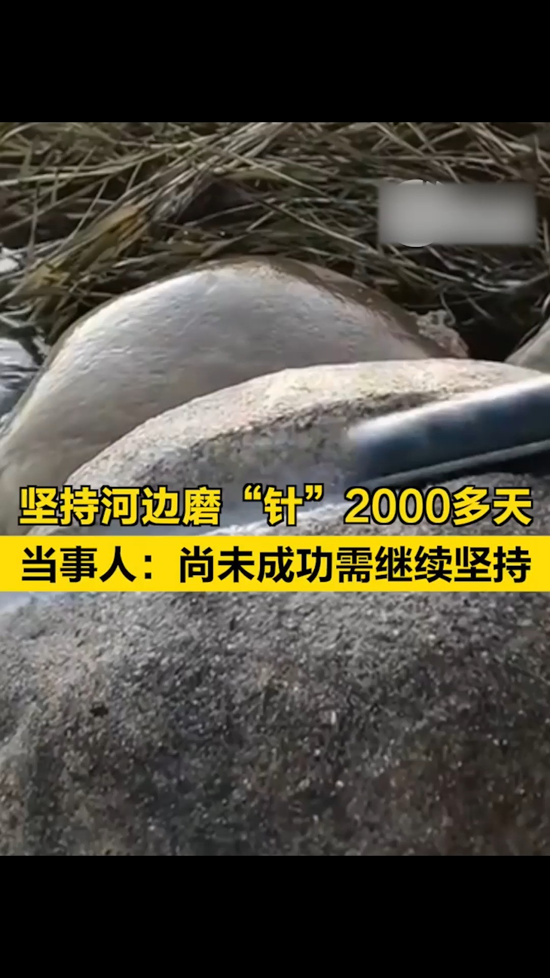 博主每天打卡河边磨“针”,已经坚持2000多天,石头被磨出很深的印记.据悉,该博主磨的是全国90%土木建筑承重会用到的HRB400螺纹钢,众多网友在...