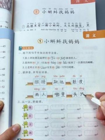 小学课本同步练习册,人教版的,与课本同步,学一课练一课,课后轻松巩固当天所学知识