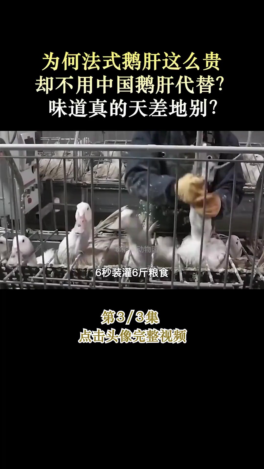 为何法式鹅肝这么贵,却不用中国鹅肝代替?味道真的天差地别?#鹅肝#鹅