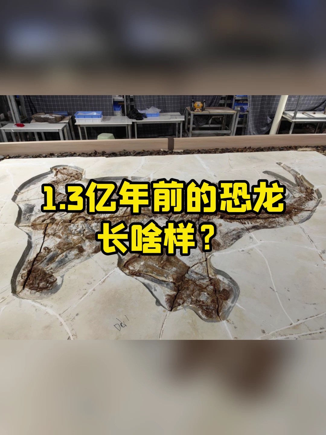 1.3亿年前的恐龙长啥样?