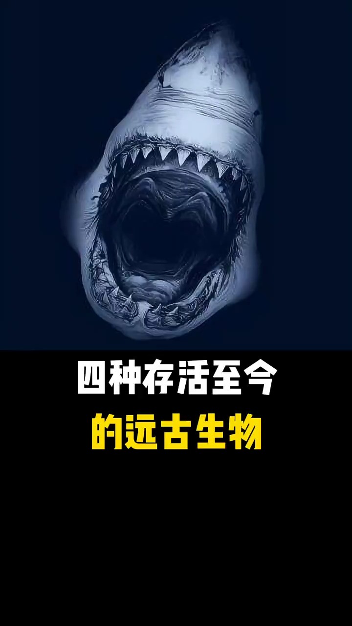 四种存活至今的远古生物,你知道哪几种呢?