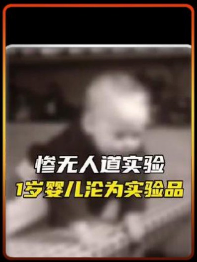 惨无人道的,孩子都经历了什么